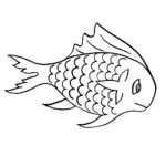 Fish Web