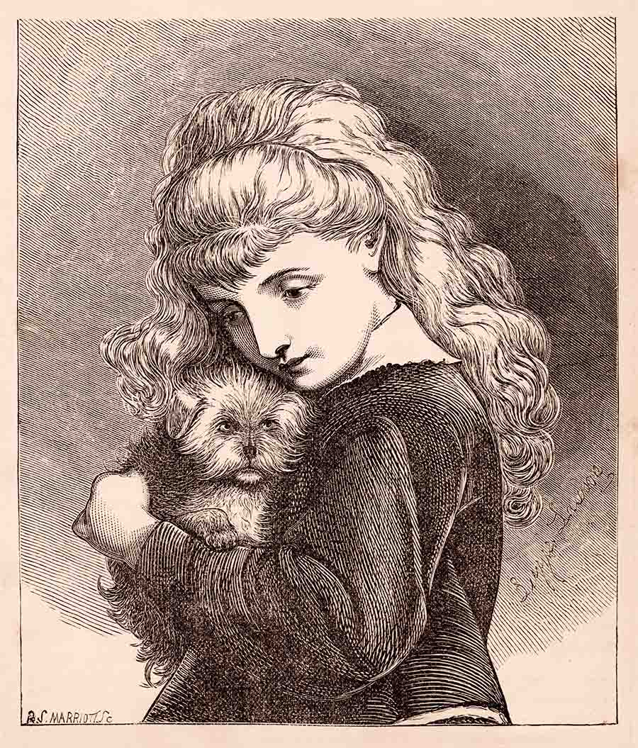 Girl With Dog Web