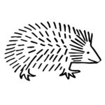 Hedgehog Preview