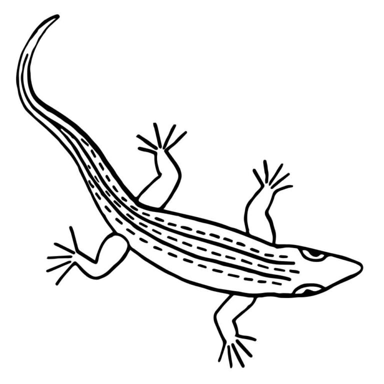 Vintage Lizard Coloring Page Embroidery Pattern Design + SVG