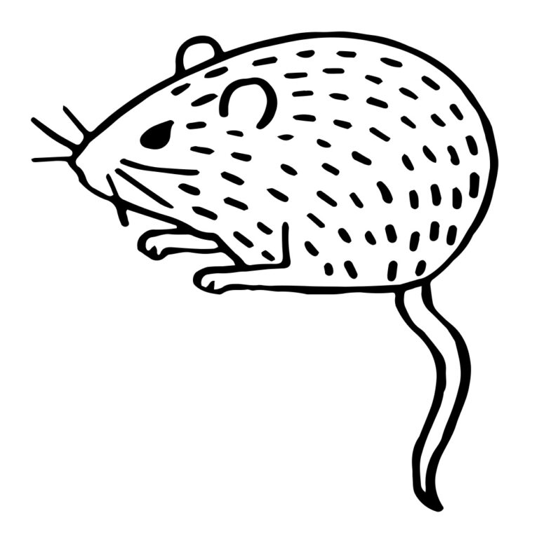 Vintage Mouse Embroidery Pattern Design + SVG