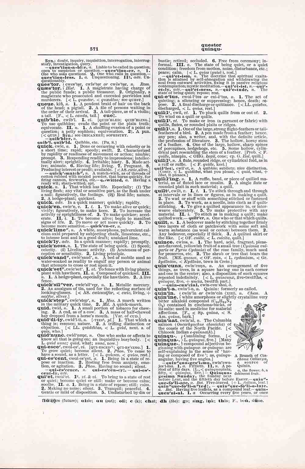 Questor Quinqu Dictionary Page Fw571