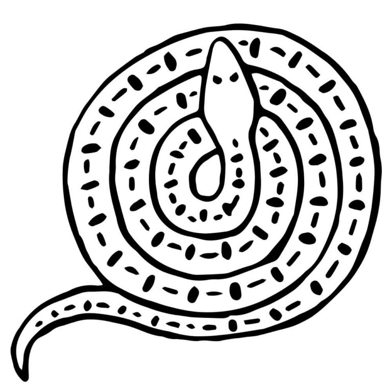 Vintage Snake Coloring Page + Embroidery Pattern Design + SVG