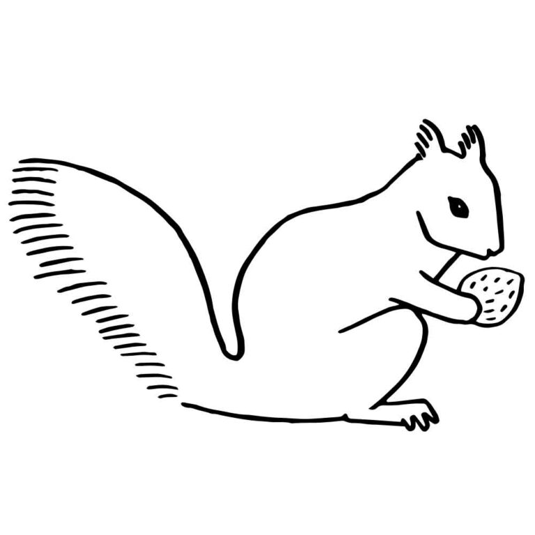 Vintage Squirrel Embroidery Pattern Design + SVG