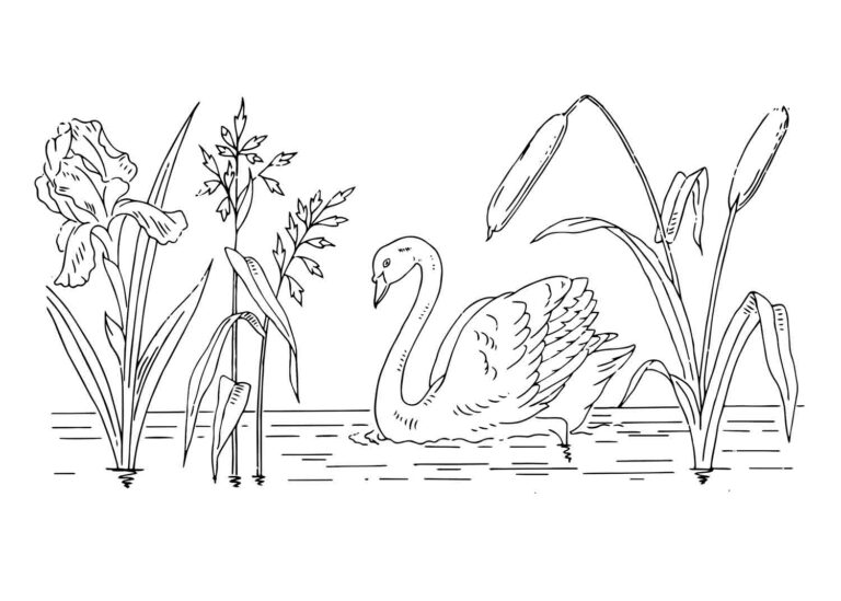 Swan in a Pond Coloring Page & Vintage Embroidery Pattern Design