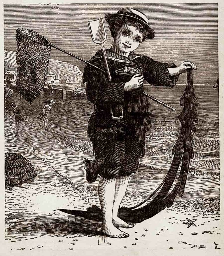 Victorian Boy at The Beach With Net