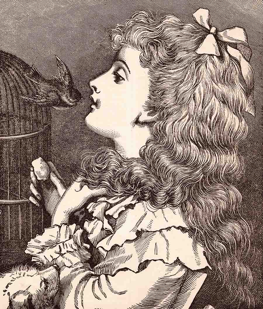 Victorian Girl With Bird Web