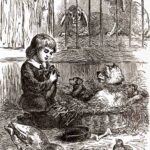 Victorian Girl With Puppies Barn Websize