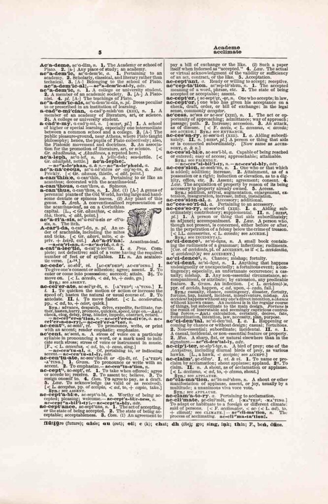 Vintage Dictionary Page Websize Fw5