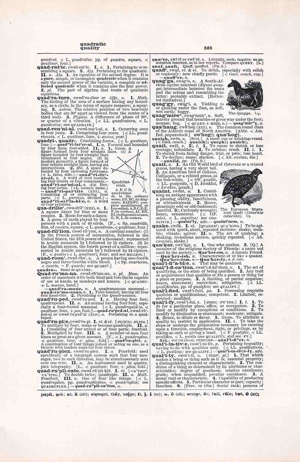 Vintage Dictionary Page Q Quadratic Quality Fw568 Web