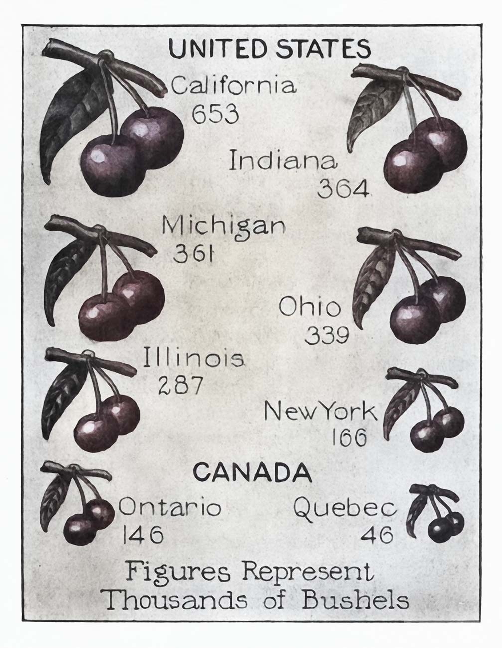 1926 Cherry Production Web