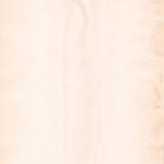 2023 03 01 0313 Wbpaper04 Web