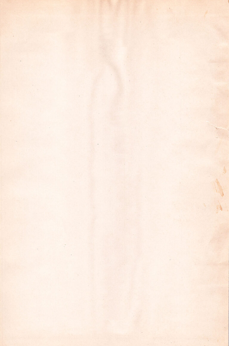 Old Book Paper Texture WB 0313
