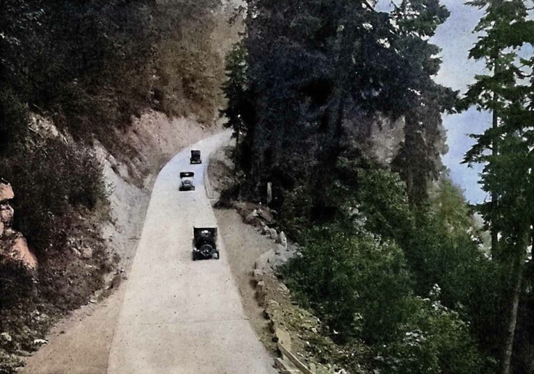 Antique Cars Driving on Concrete Road