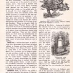 Chart Chartism Wb1282 Web