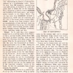 Chattanooga Chattel Wb1285 Web