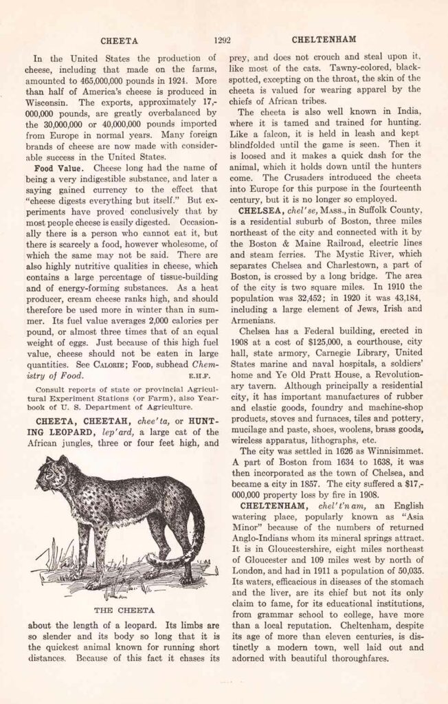 Cheeta Cheltenham Wb1292 Web