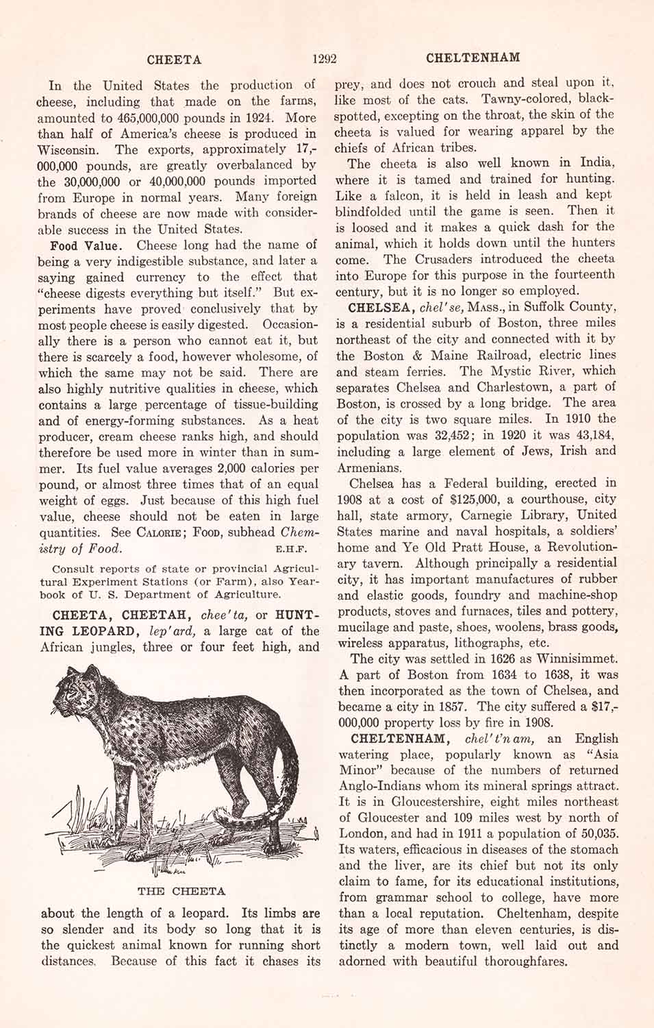 Cheeta Cheltenham Wb1292 Web