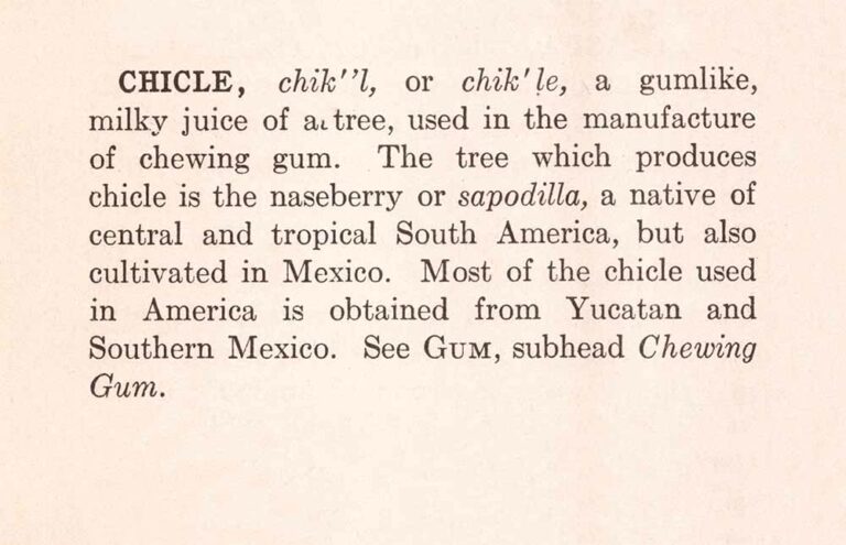 Chicle