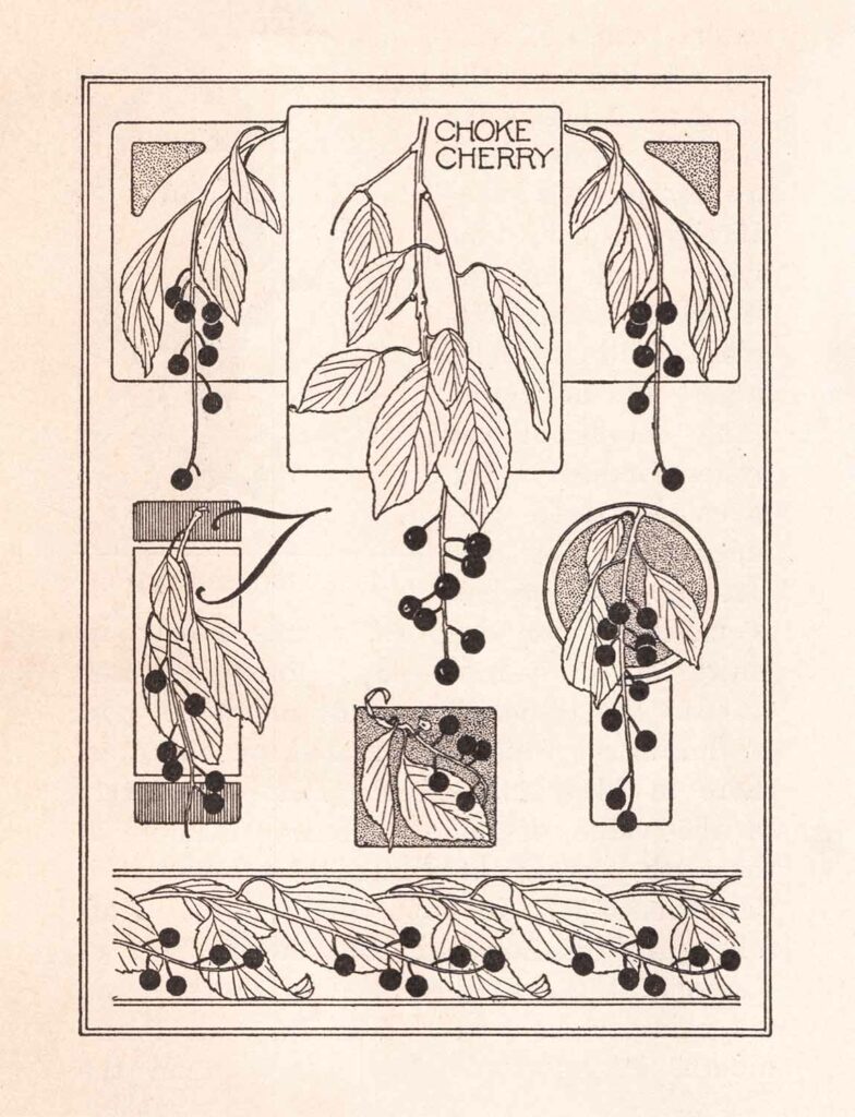 Choke Cherry Booklet Cover Design Web