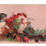 Dog Bird Postcard Web