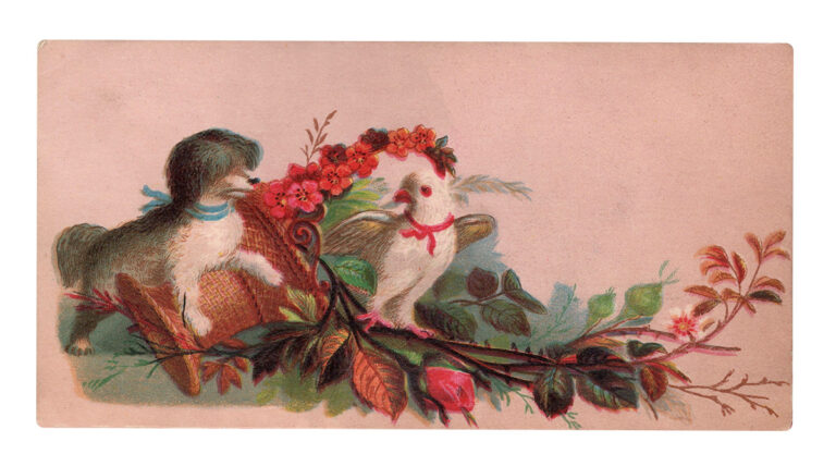 Victorian Era Postcard With Dog and Bird
