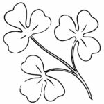 Shamrock Vintage Embroidery Pattern Web