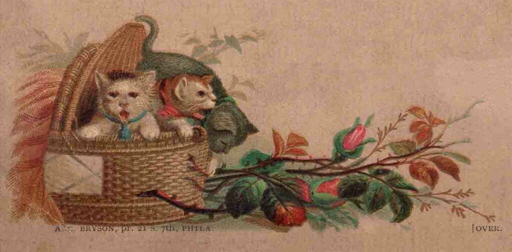 Victorian Cat Postcard Web