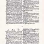 Vintage Dictionary Page Websize Fw105