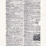 Vintage Dictionary Page Websize Fw109
