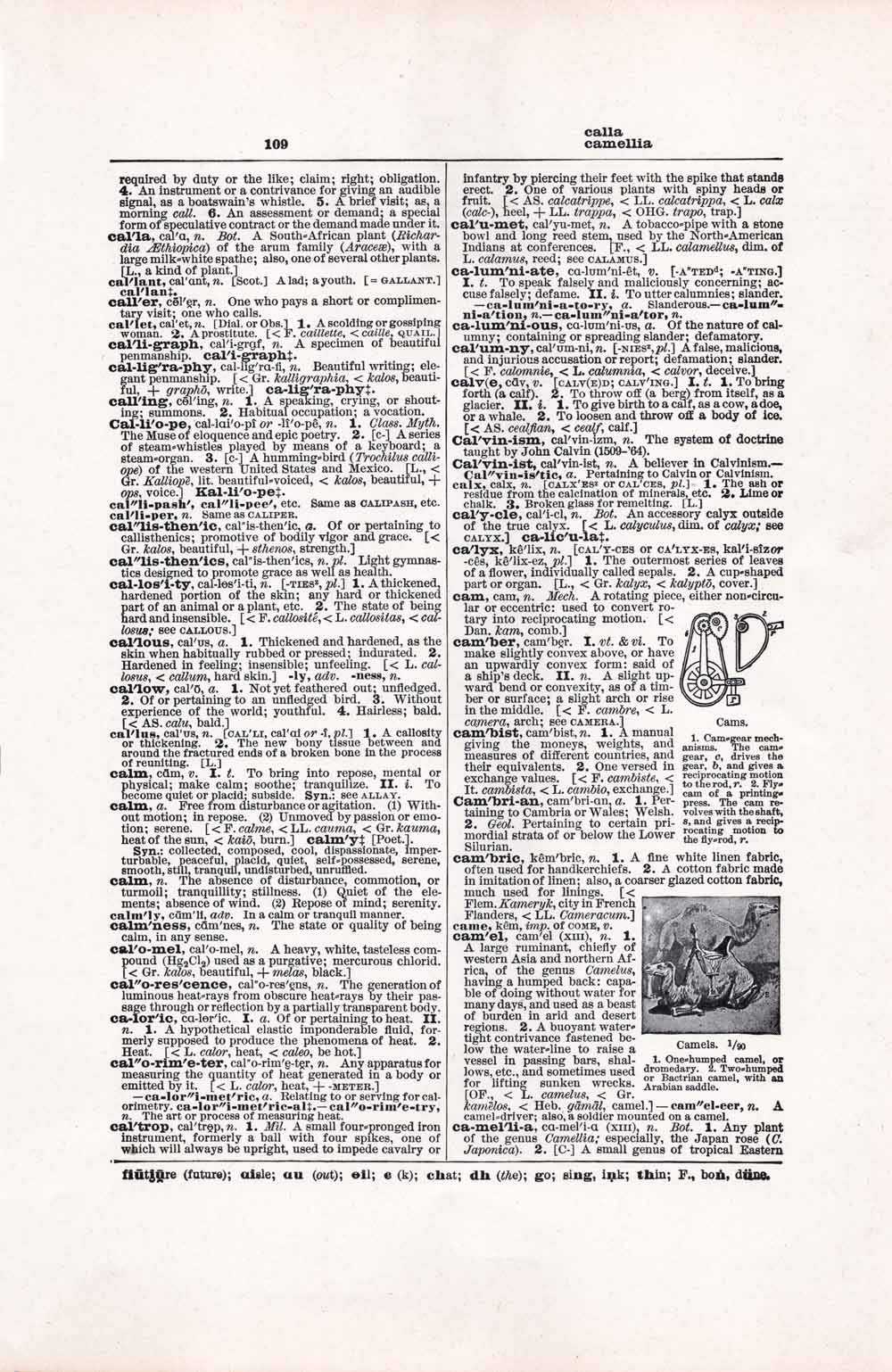 Vintage Dictionary Page Websize Fw109