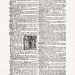 Vintage Dictionary Page Websize Fw61