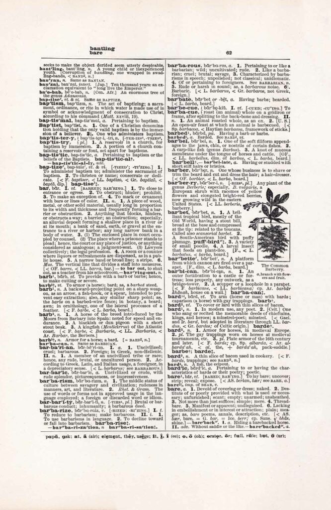 Vintage Dictionary Page Websize Fw62