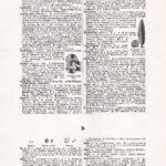 Vintage Dictionary Web 187