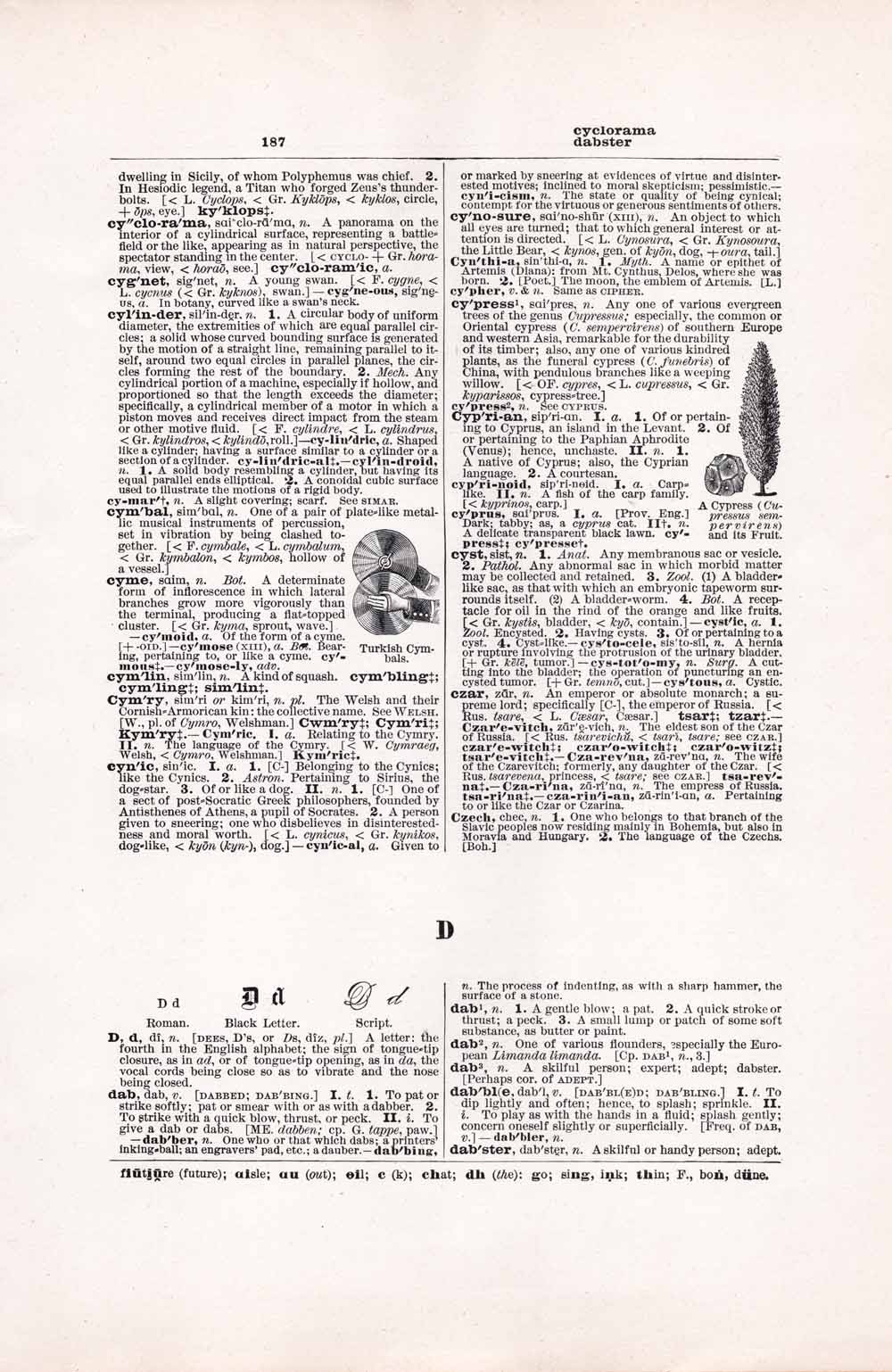 Vintage Dictionary Web 187