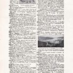 Vintage Dictionary Web 188