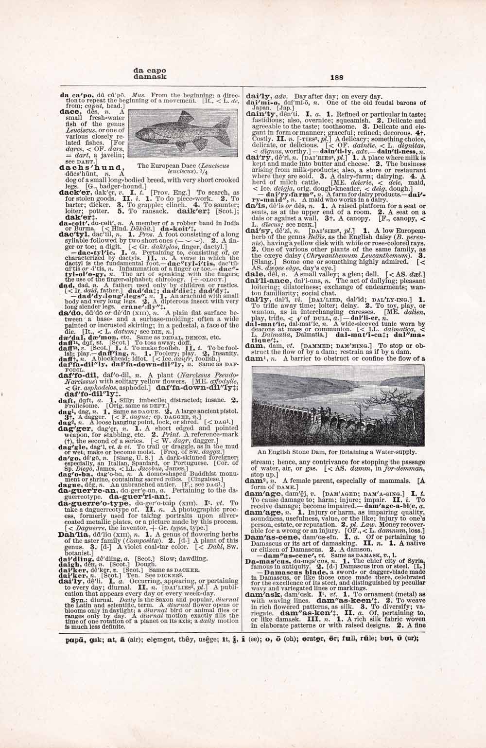 Vintage Dictionary Web 188