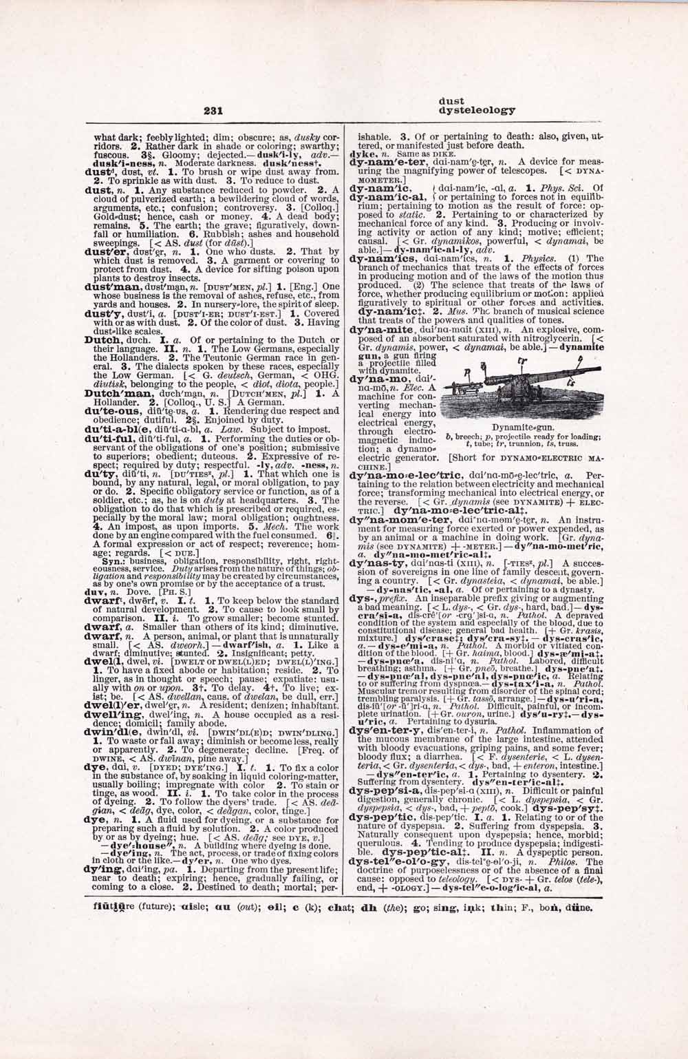 Vintage Dictionary Web 231