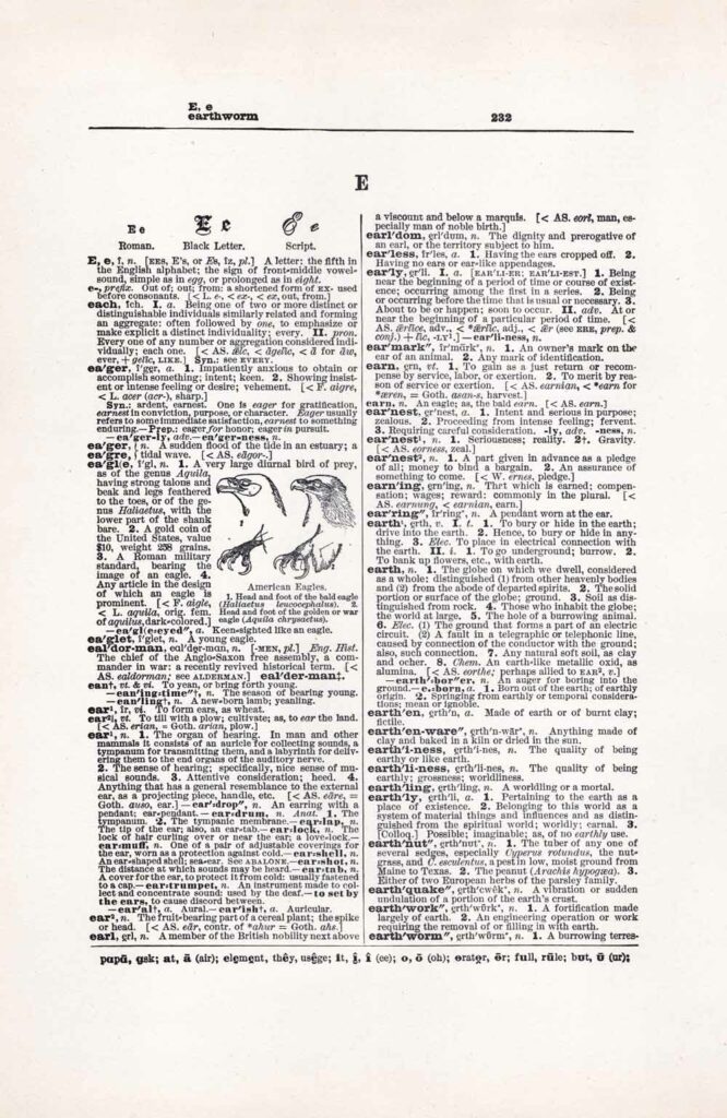 Vintage Dictionary Web 232