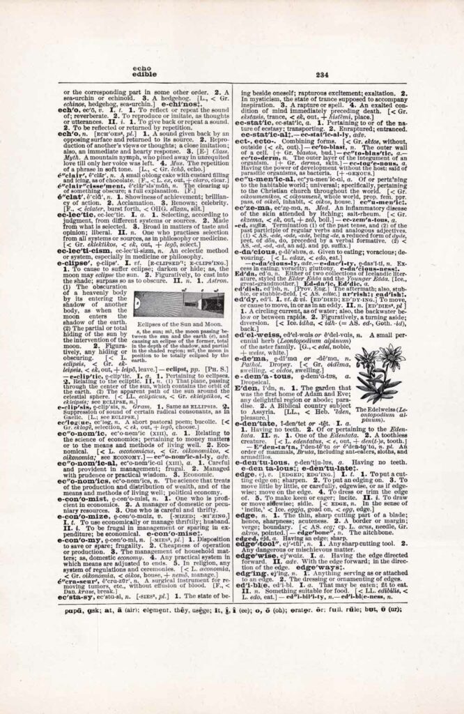 Vintage Dictionary Web 234