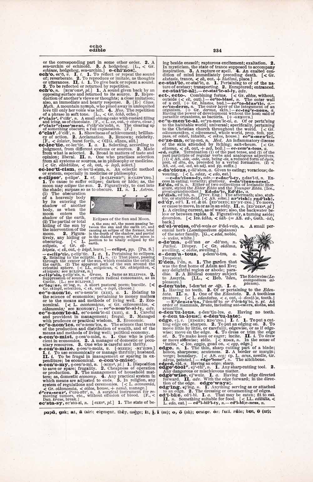 Vintage Dictionary Web 234