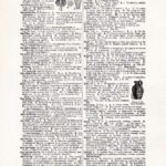 Vintage Dictionary Web 266