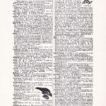 Vintage Dictionary Web 267