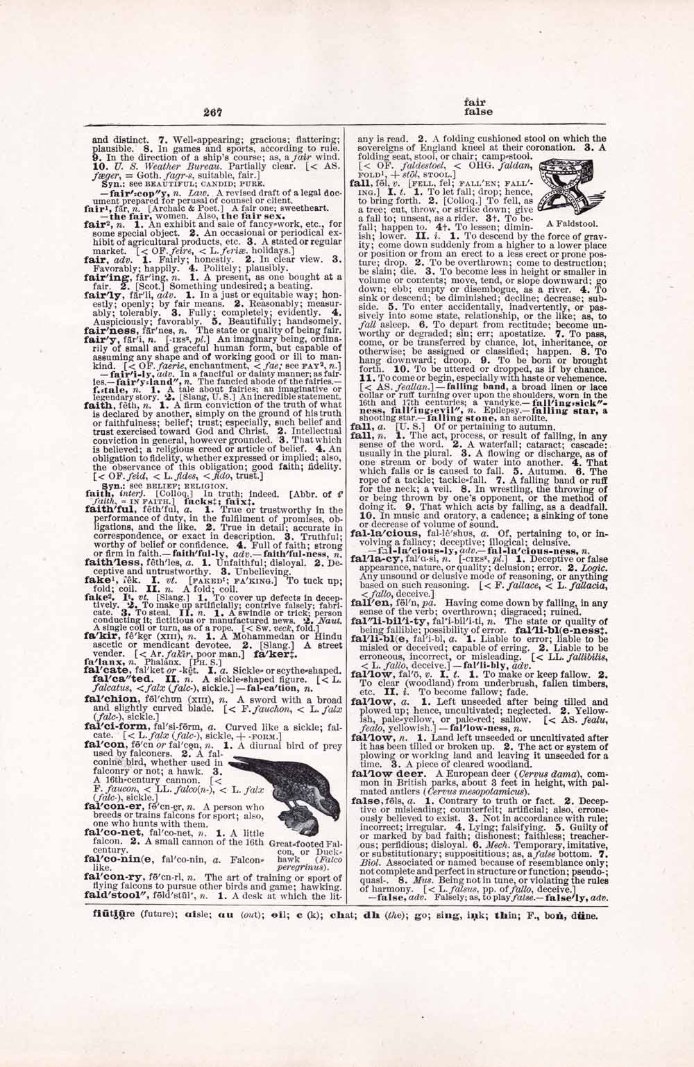 Vintage Dictionary Web 267
