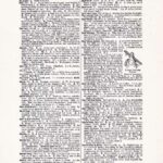 Vintage Dictionary Web 269