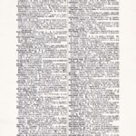 Vintage Dictionary Web 299