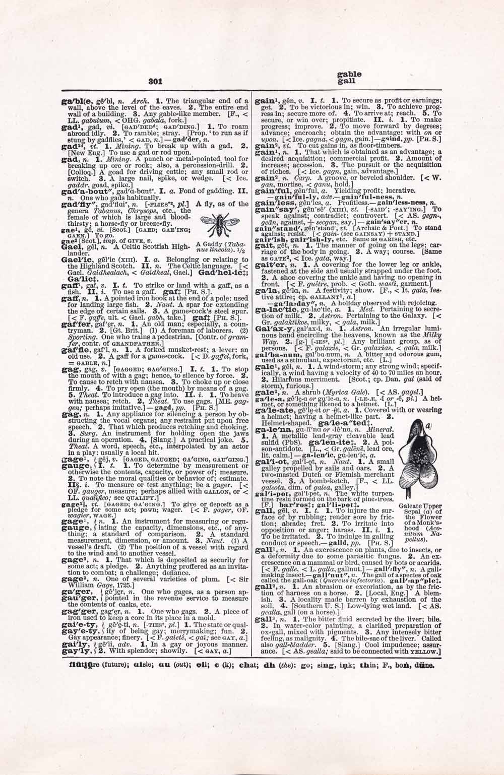 Vintage Dictionary Web 301