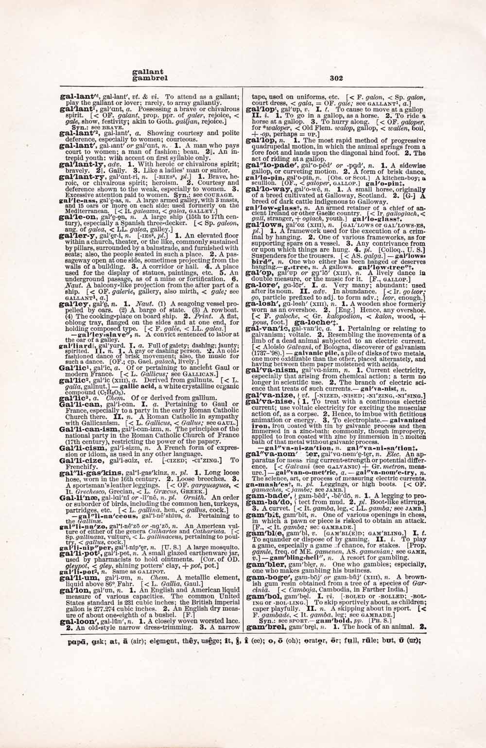 Vintage Dictionary Web 302