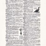 Vintage Dictionary Web 303