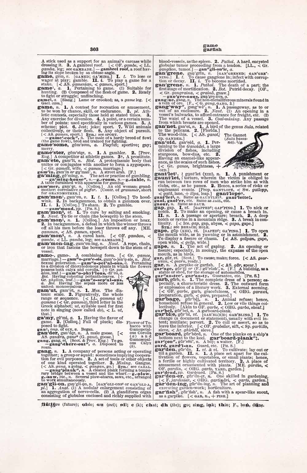 Vintage Dictionary Web 303